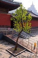 08 Dongyue temple