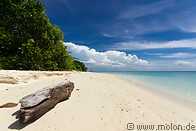 10 Tropical beach and tree trunk
