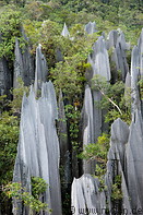 18 Limestone pinnacles