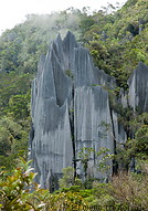 24 Limestone pinnacles